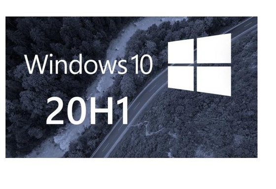 Etiqueta do Coa da chave do produto do PC de Windows 10 ativação em linha da pro