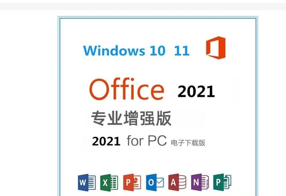 Cartão chave da ativação profissional genuína do escritório 2021, chave 2021 do produto do escritório