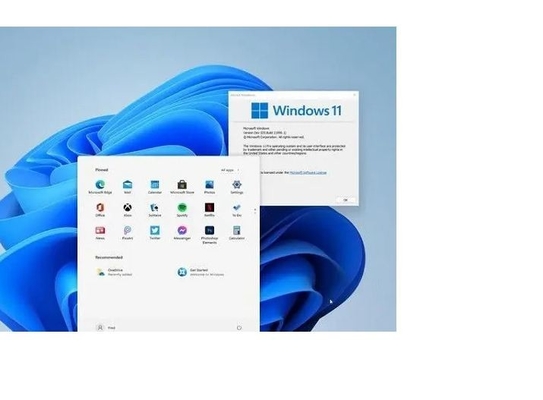 Chave da ativação de Microsoft Windows 11 com etiqueta do Coa da vitória 11 do holograma